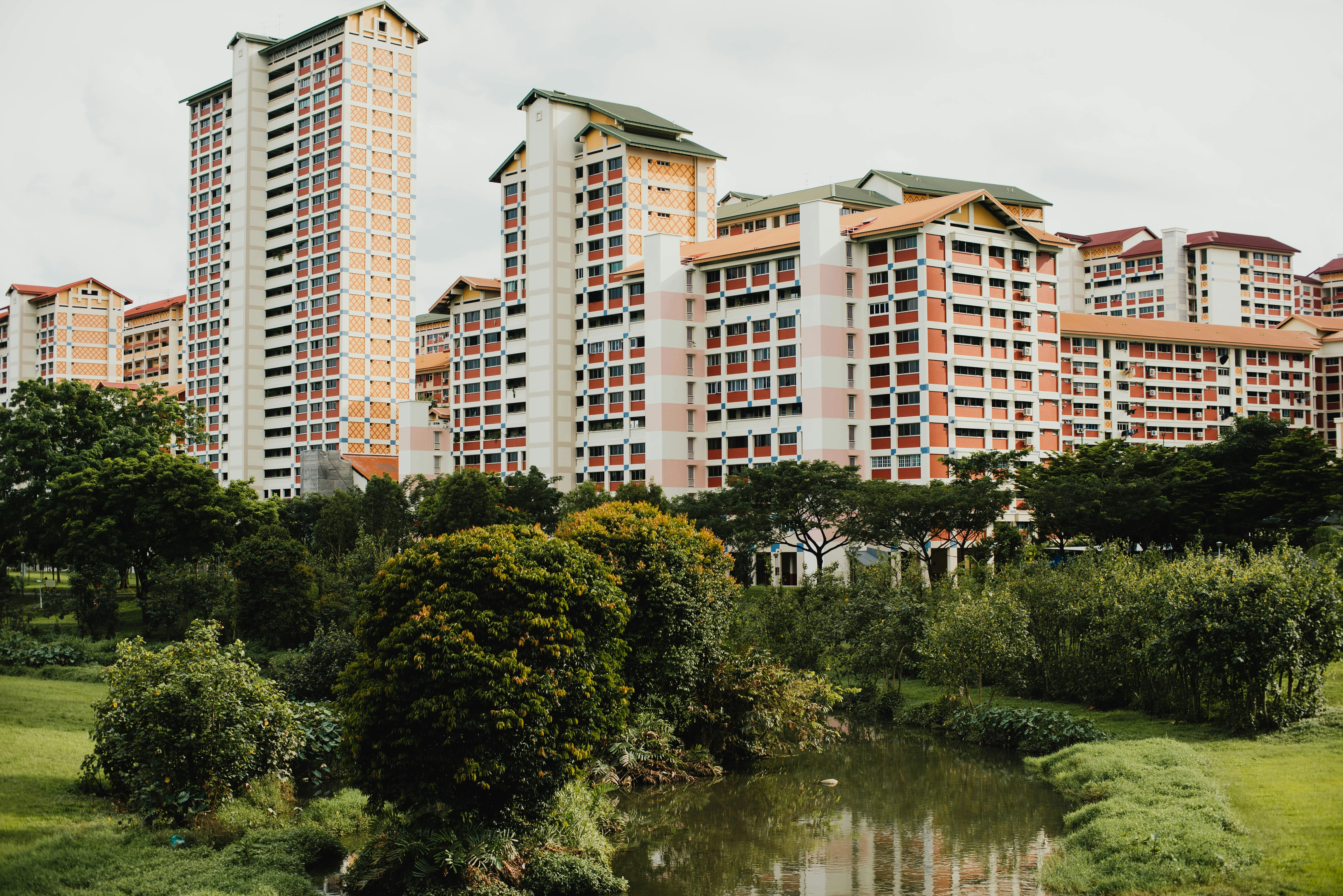 Flats and Buildings for Sale/Rent